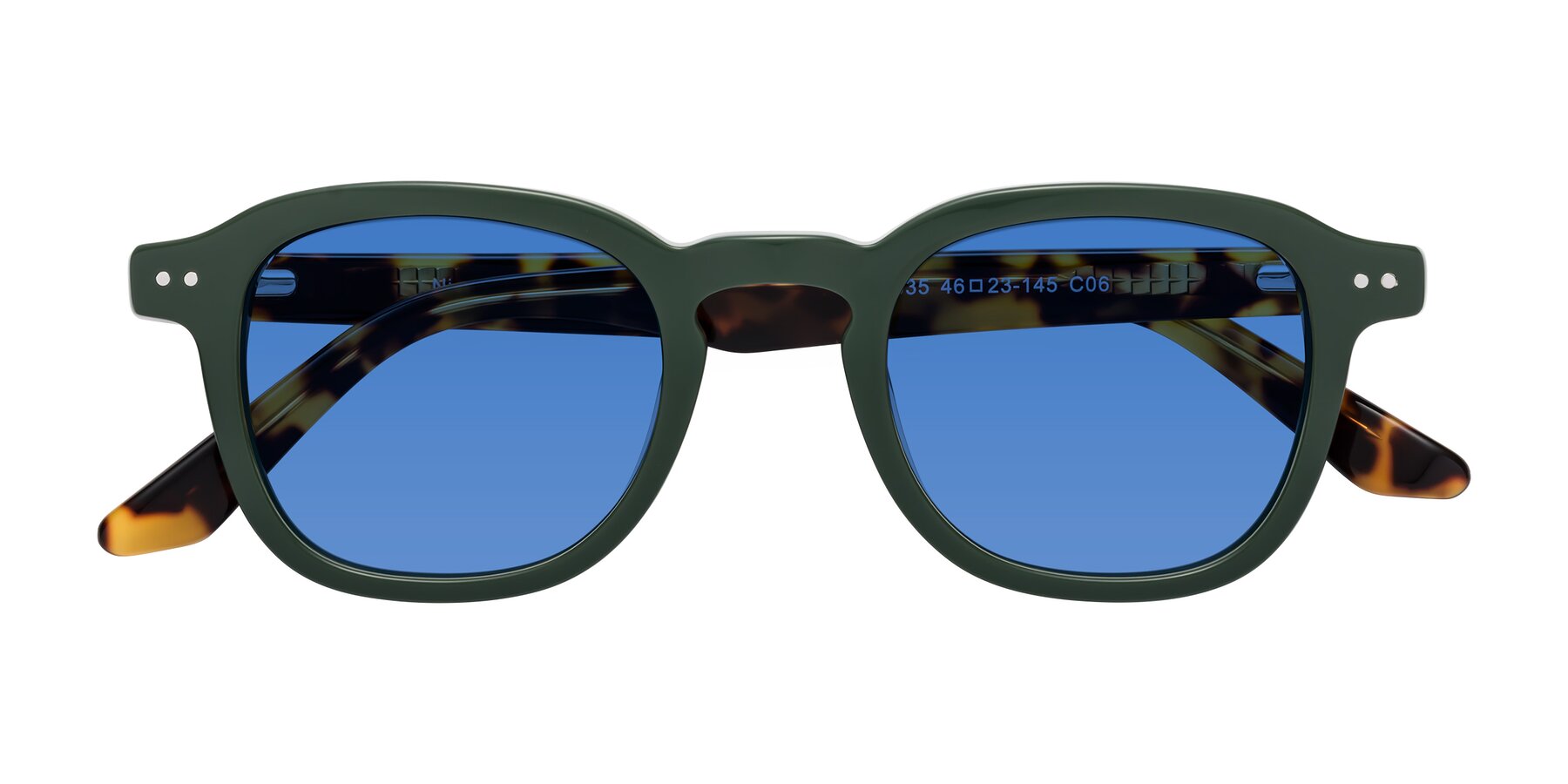 Folded Front of Nice in Seaweed-Tortoise with Blue Tinted Lenses