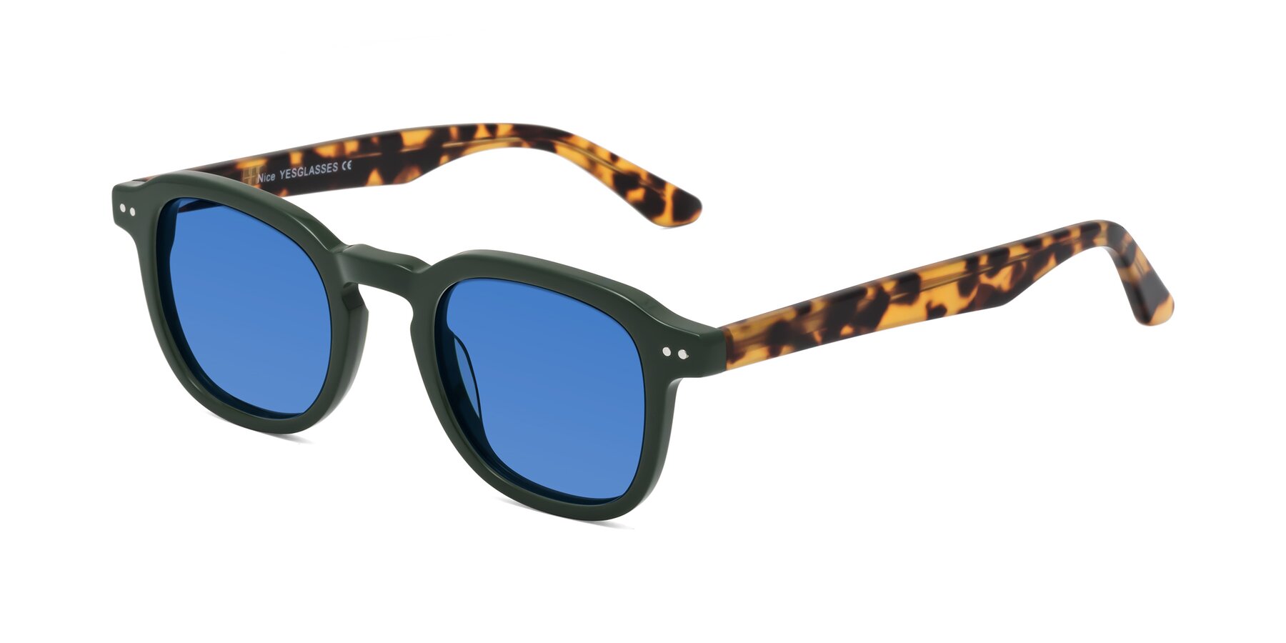 Angle of Nice in Seaweed-Tortoise with Blue Tinted Lenses