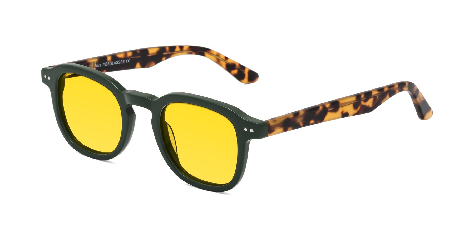 Angle of Nice in Seaweed-Tortoise with Yellow Tinted Lenses