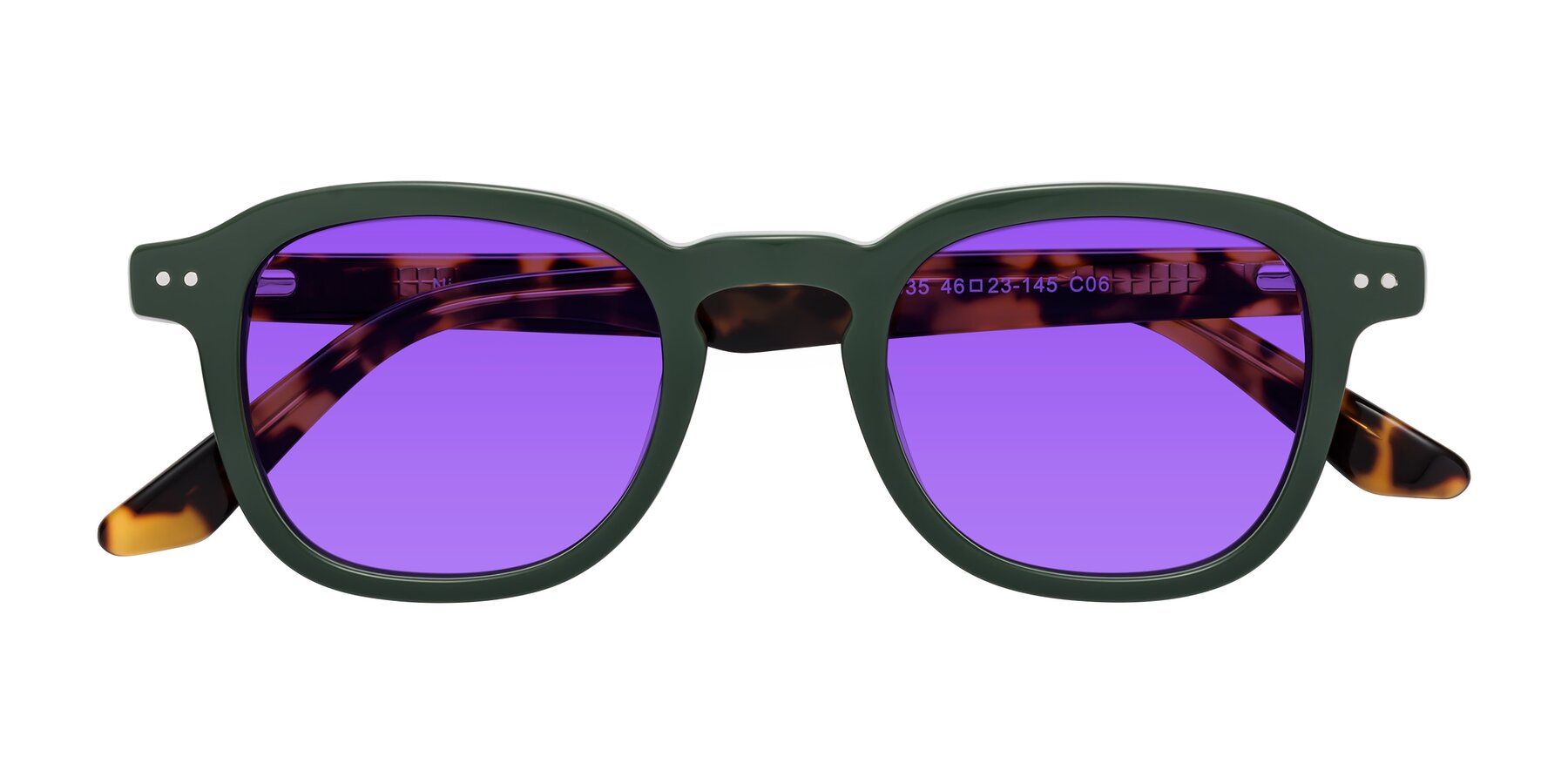 Folded Front of Nice in Seaweed-Tortoise with Purple Tinted Lenses