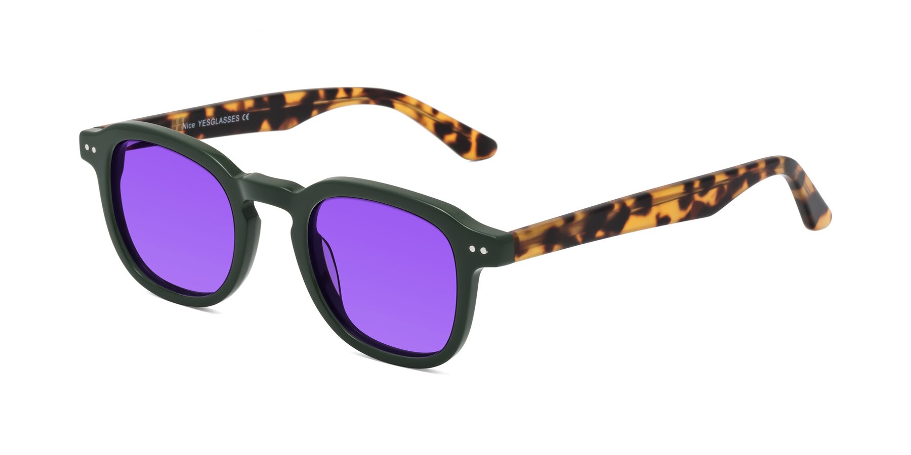 Angle of Nice in Seaweed-Tortoise with Purple Tinted Lenses