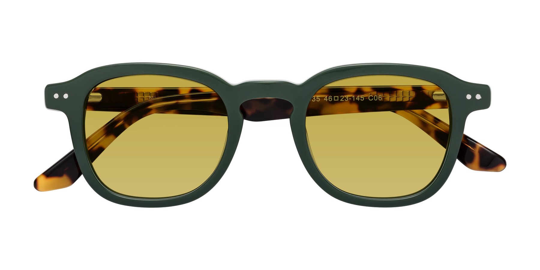 Folded Front of Nice in Seaweed-Tortoise with Champagne Tinted Lenses