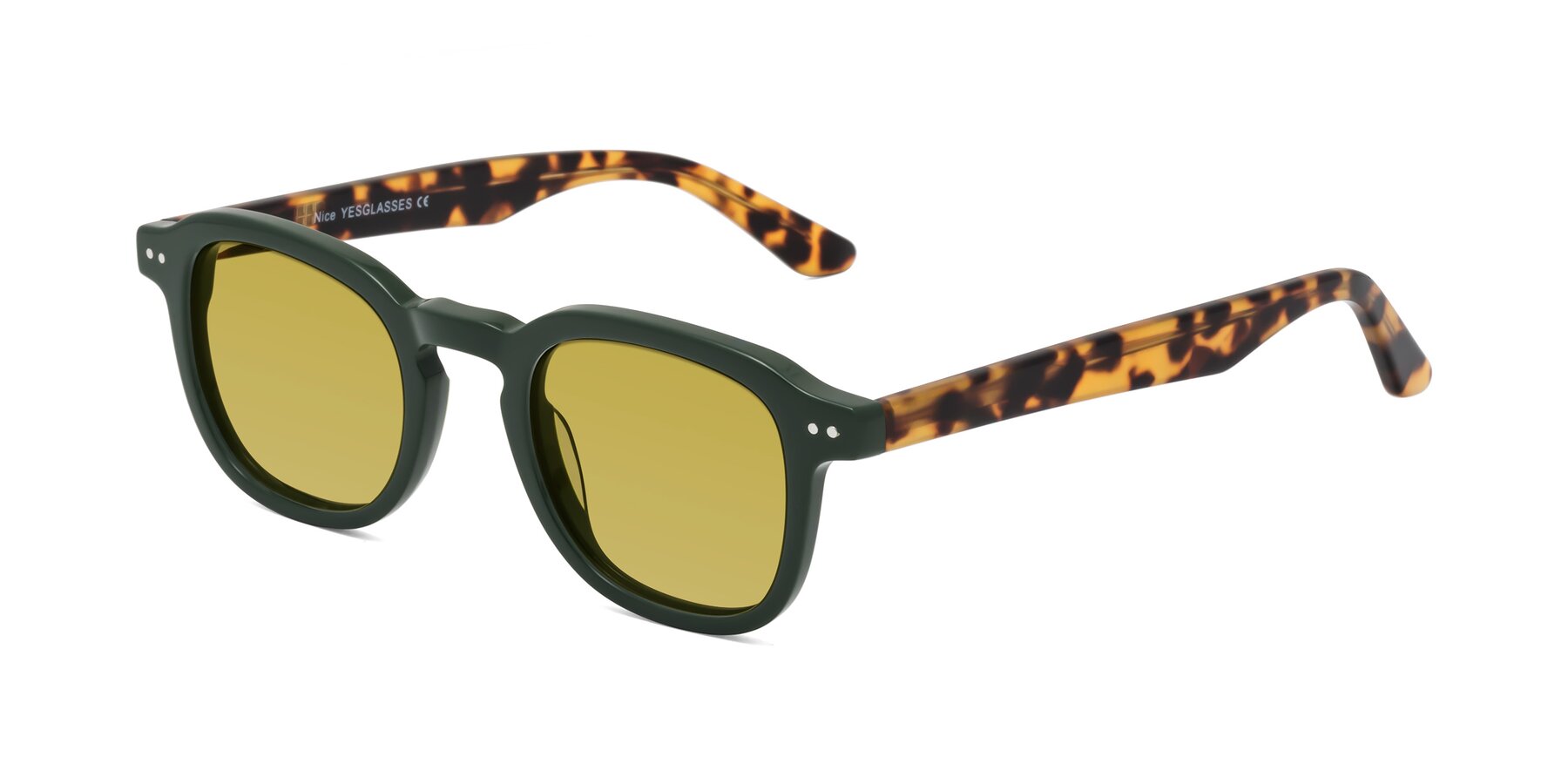 Angle of Nice in Seaweed-Tortoise with Champagne Tinted Lenses