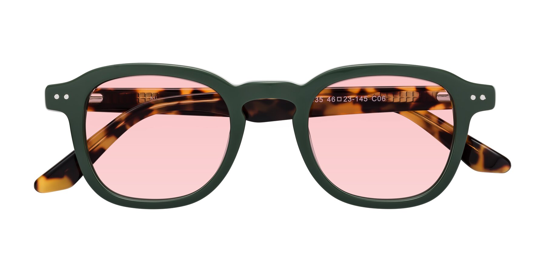 Folded Front of Nice in Seaweed-Tortoise with Light Garnet Tinted Lenses