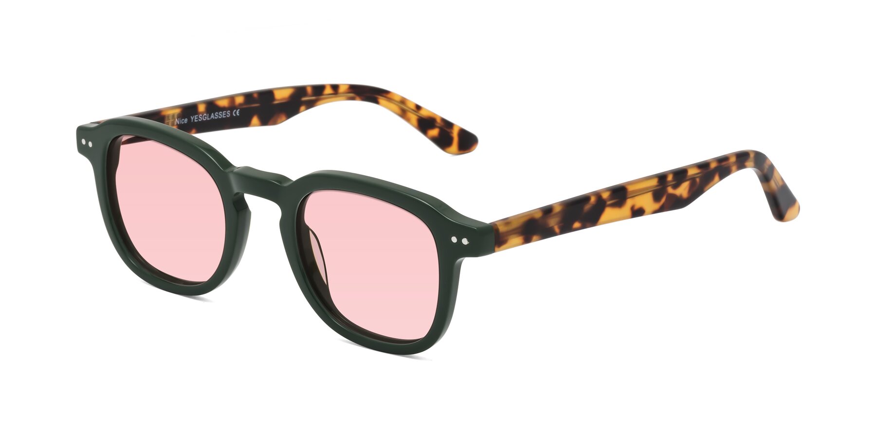 Angle of Nice in Seaweed-Tortoise with Light Garnet Tinted Lenses