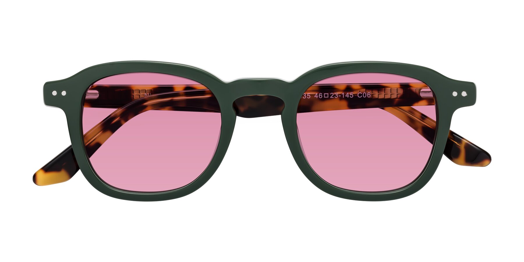 Folded Front of Nice in Seaweed-Tortoise with Medium Wine Tinted Lenses