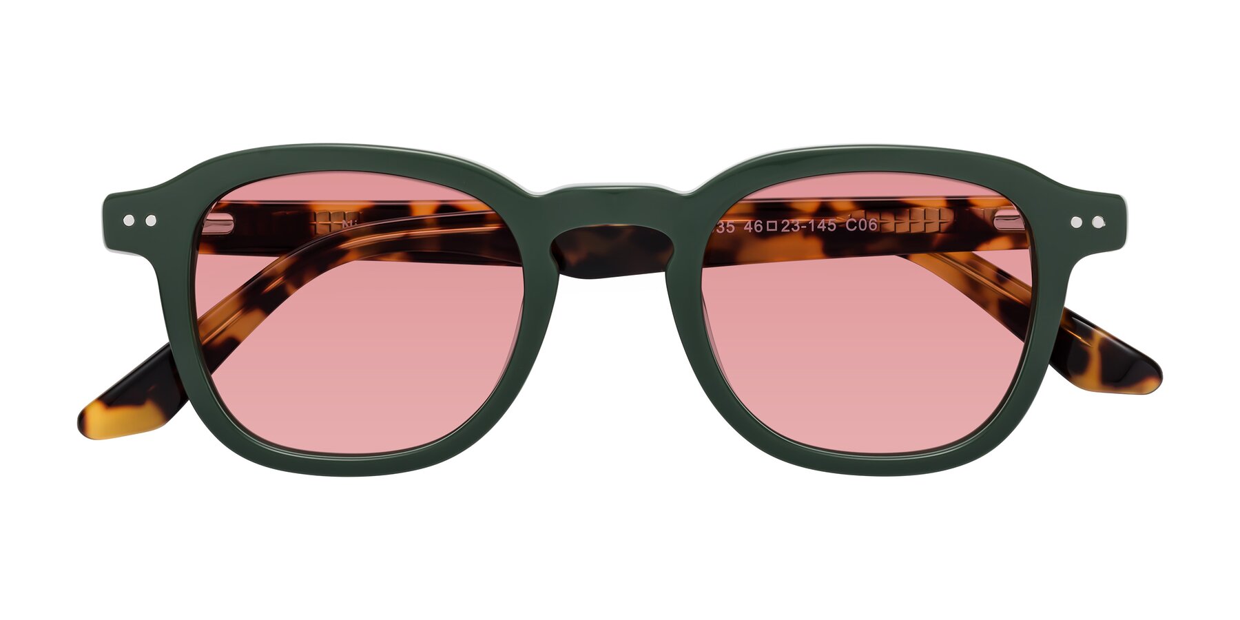 Folded Front of Nice in Seaweed-Tortoise with Medium Garnet Tinted Lenses