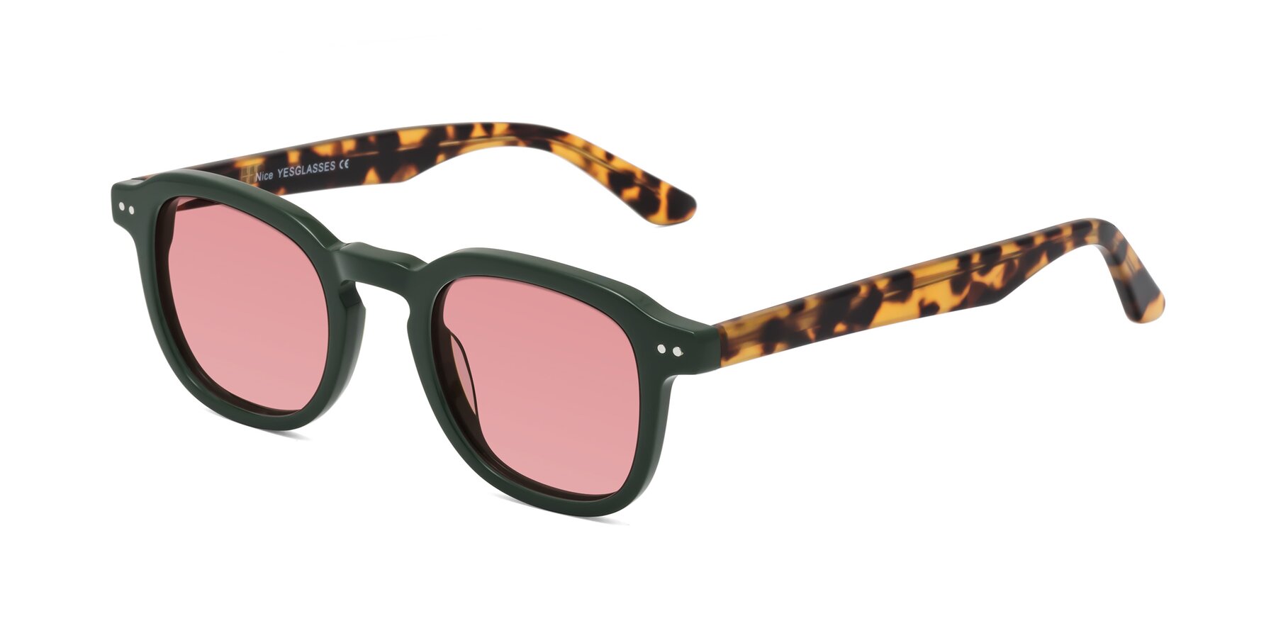 Angle of Nice in Seaweed-Tortoise with Medium Garnet Tinted Lenses