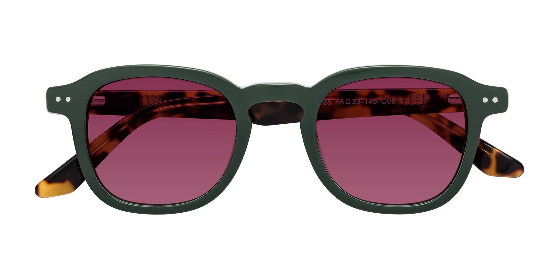 Folded Front of Nice in Seaweed-Tortoise with Wine Tinted Lenses