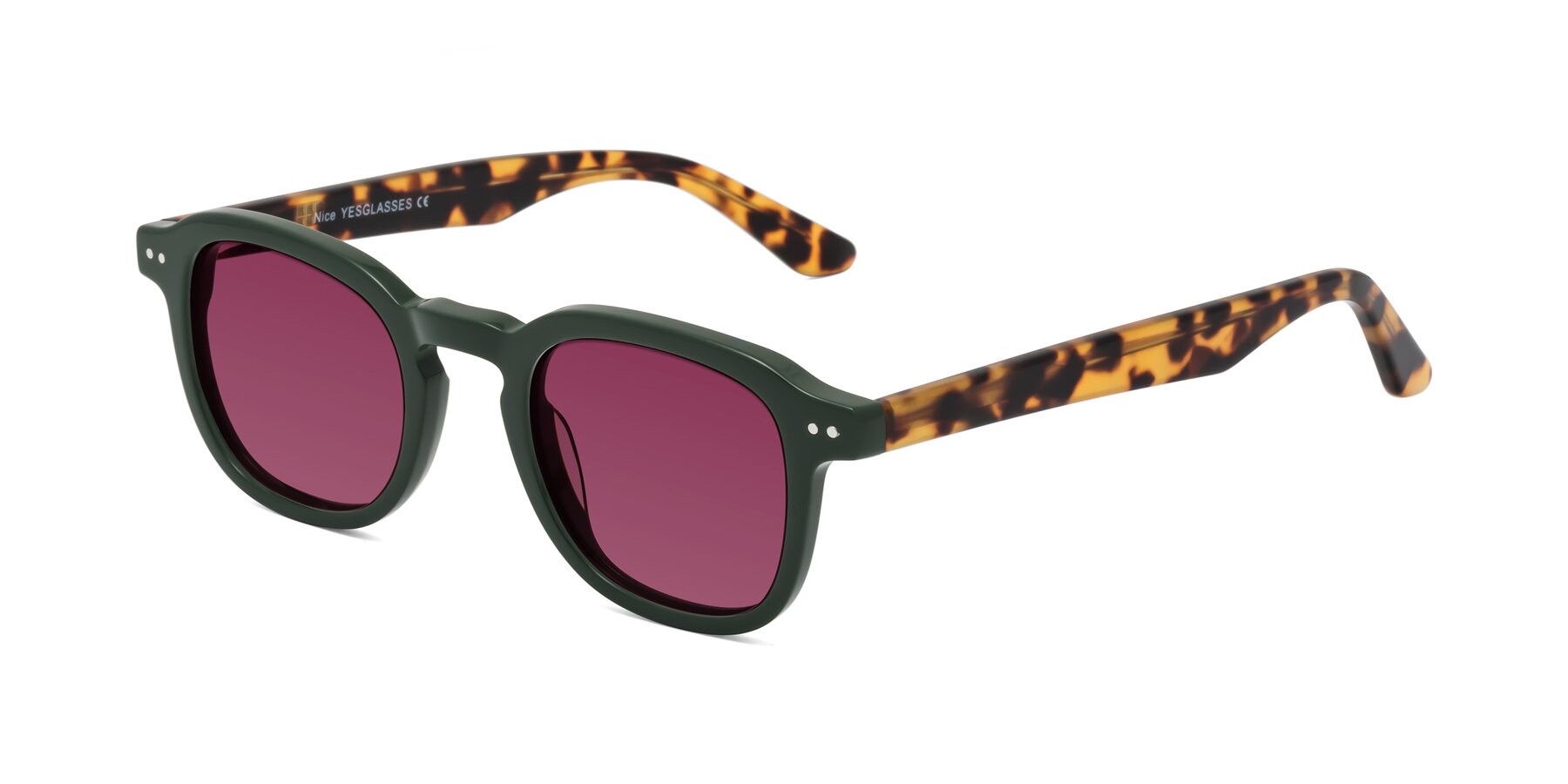 Angle of Nice in Seaweed-Tortoise with Wine Tinted Lenses