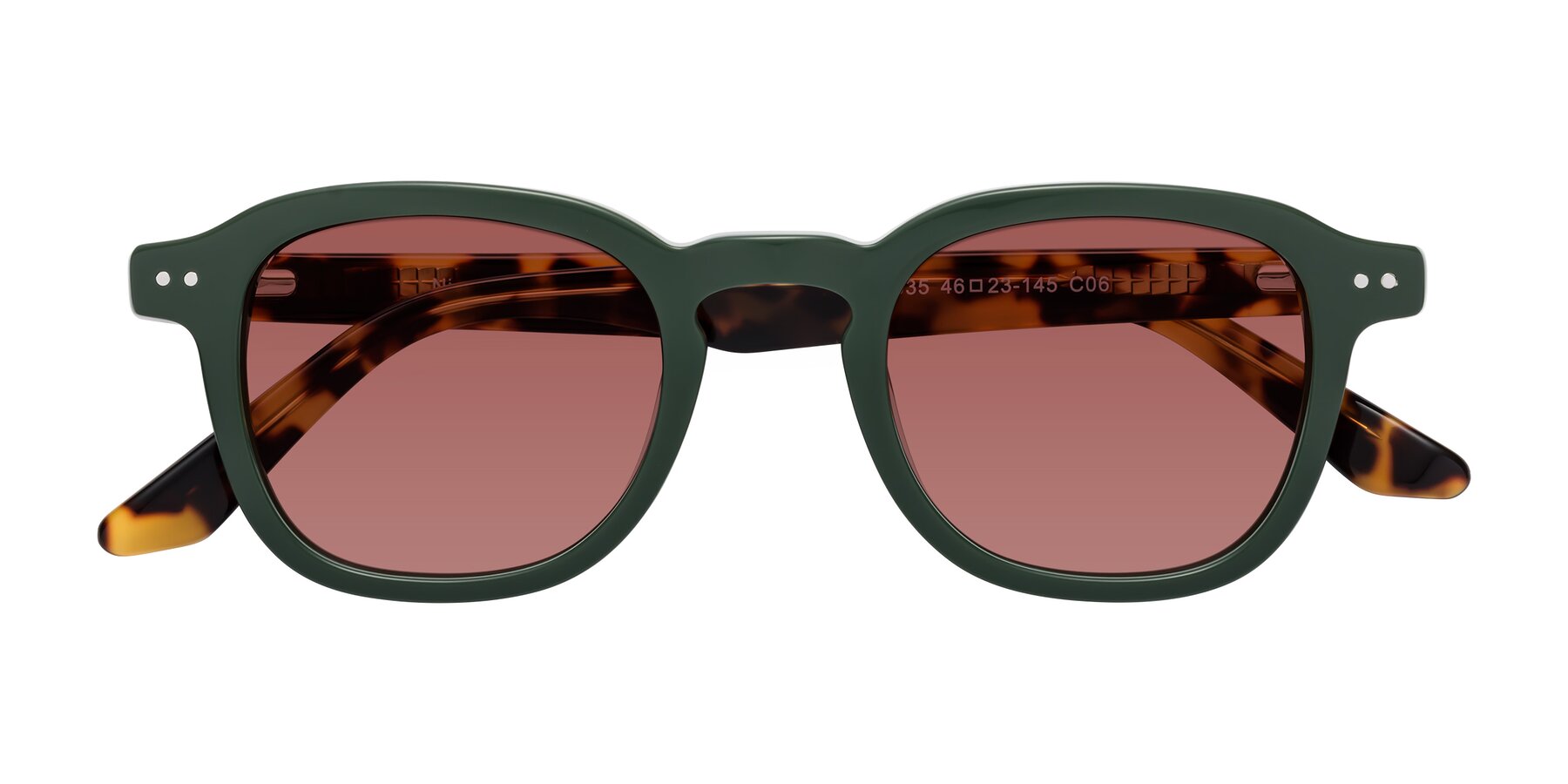 Folded Front of Nice in Seaweed-Tortoise with Garnet Tinted Lenses