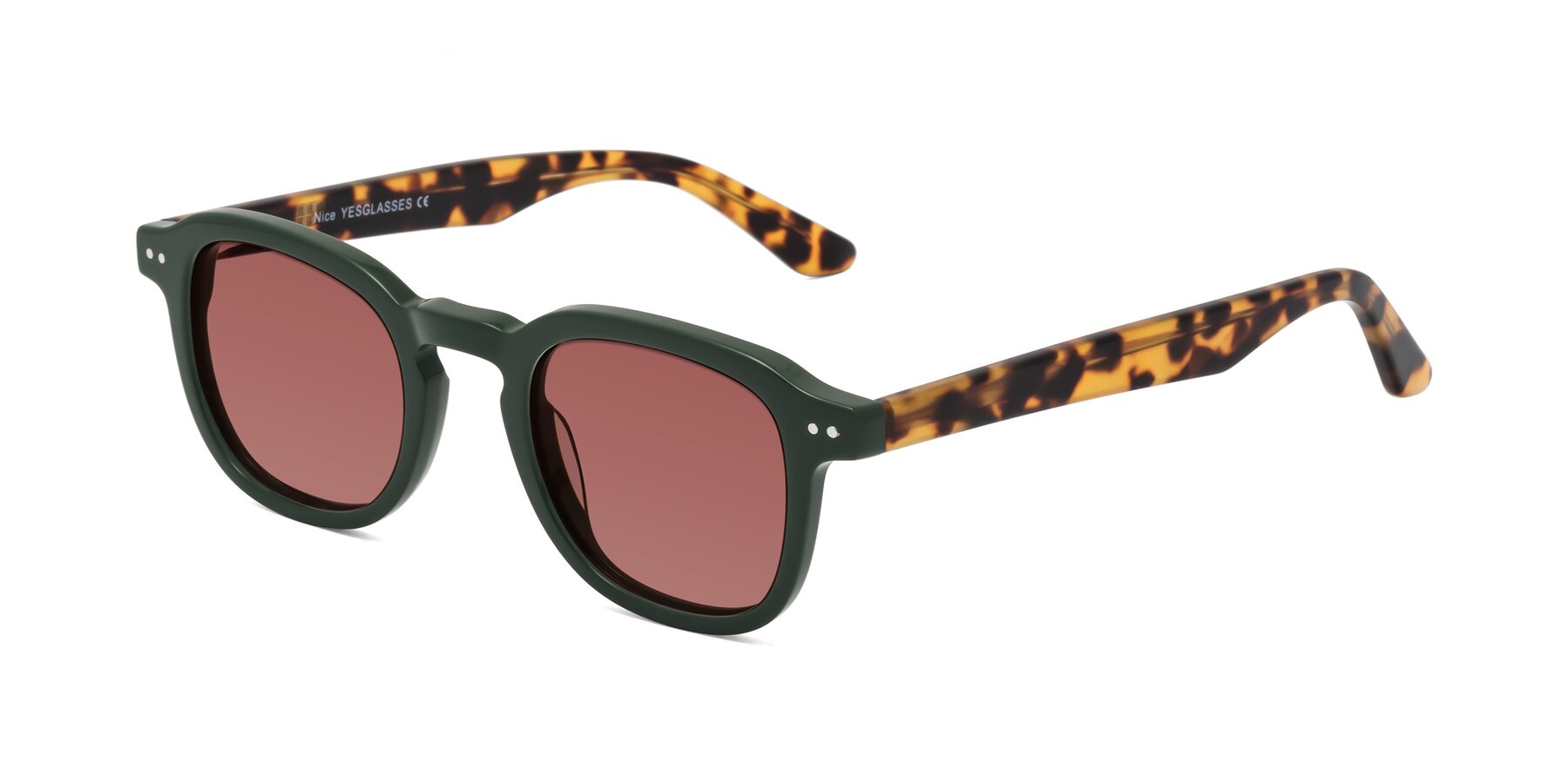 Angle of Nice in Seaweed-Tortoise with Garnet Tinted Lenses