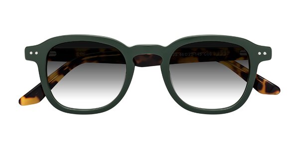 Front of Nice in Seaweed / Tortoise