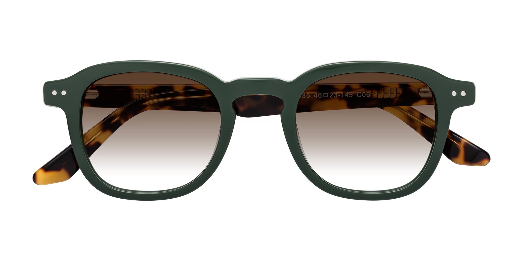 Folded Front of Nice in Seaweed-Tortoise with Brown Gradient Lenses