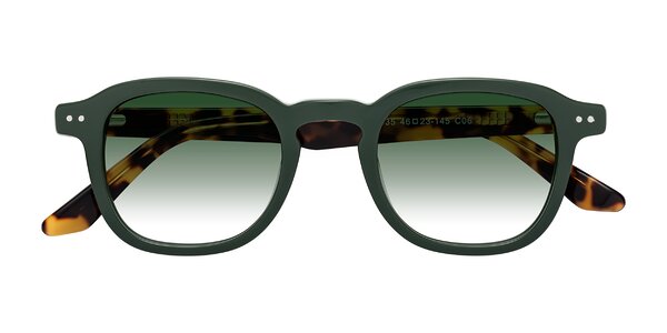 Front of Nice in Seaweed / Tortoise