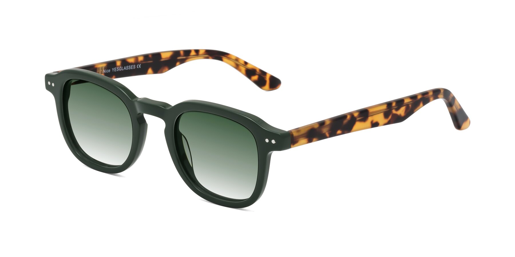 Angle of Nice in Seaweed-Tortoise with Green Gradient Lenses