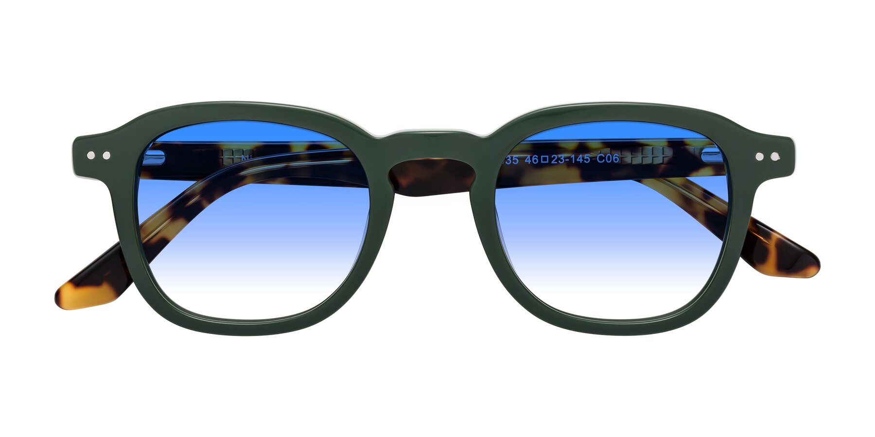 Folded Front of Nice in Seaweed-Tortoise with Blue Gradient Lenses