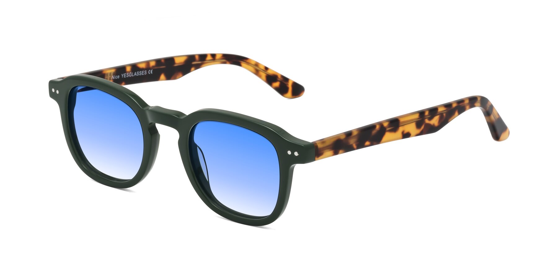 Angle of Nice in Seaweed-Tortoise with Blue Gradient Lenses