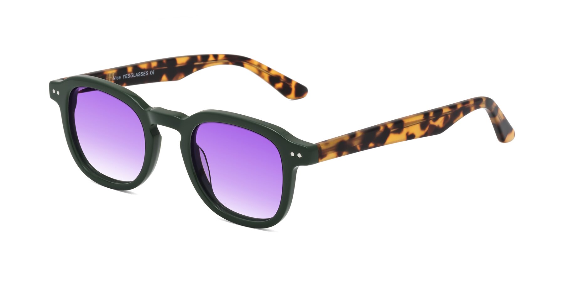 Angle of Nice in Seaweed-Tortoise with Purple Gradient Lenses