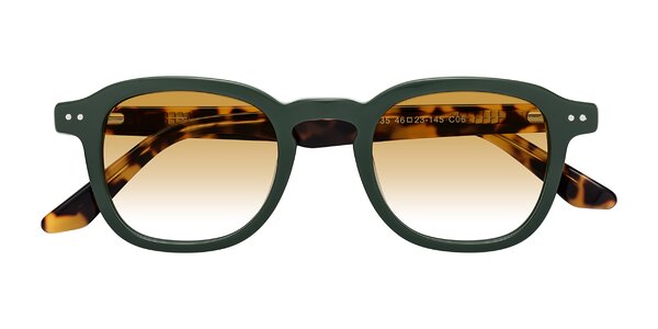 Front of Nice in Seaweed / Tortoise