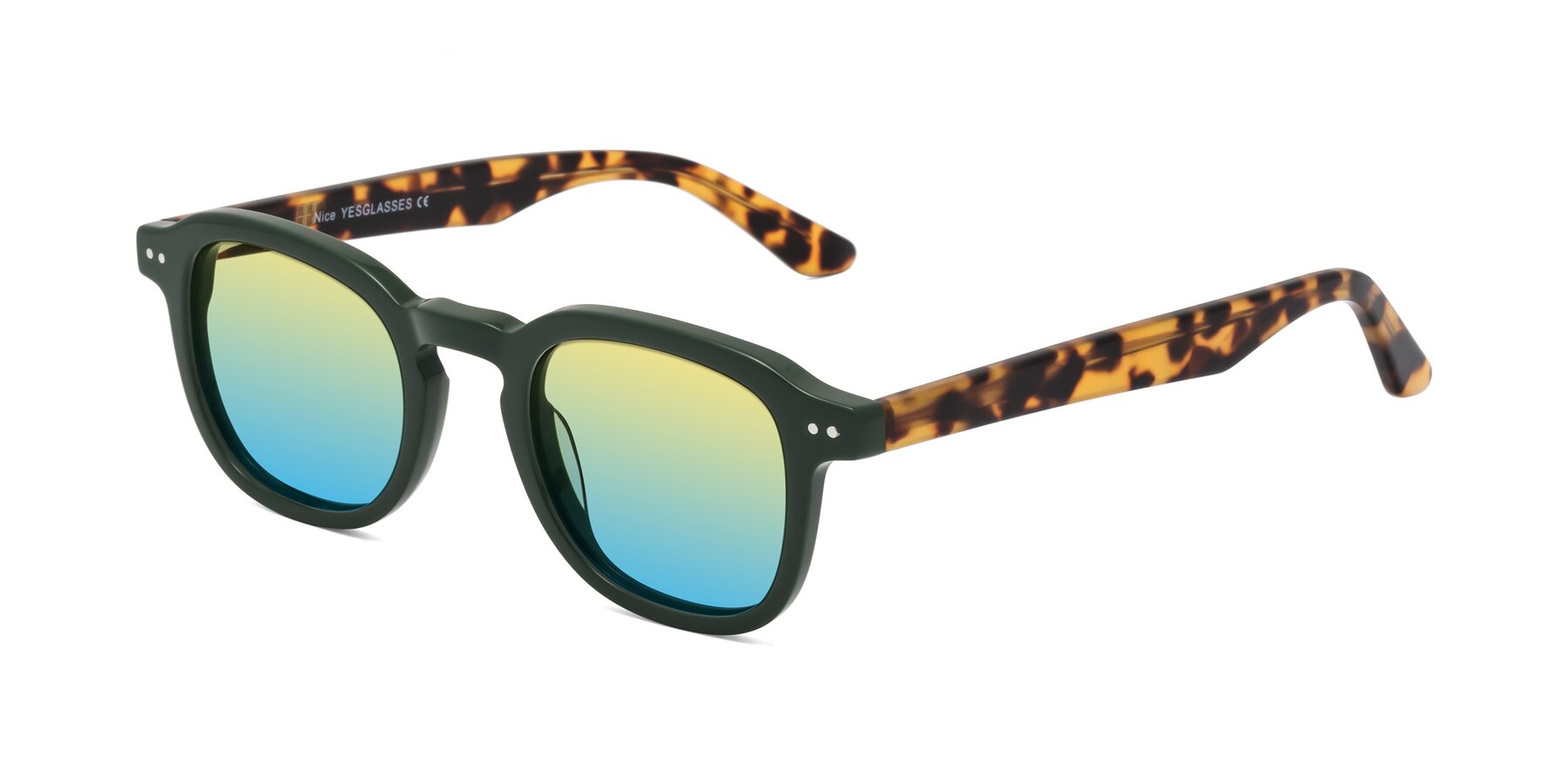 Angle of Nice in Seaweed-Tortoise with Yellow / Blue Gradient Lenses