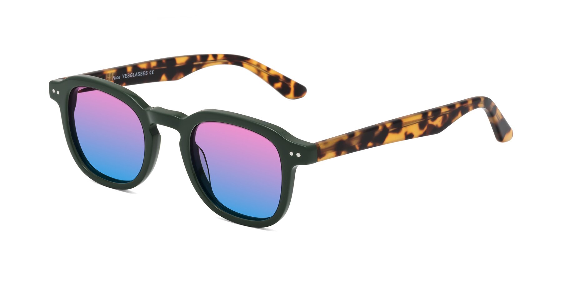 Angle of Nice in Seaweed-Tortoise with Pink / Blue Gradient Lenses