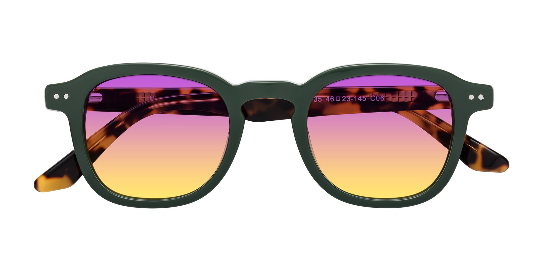 Folded Front of Nice in Seaweed-Tortoise with Purple / Yellow Gradient Lenses