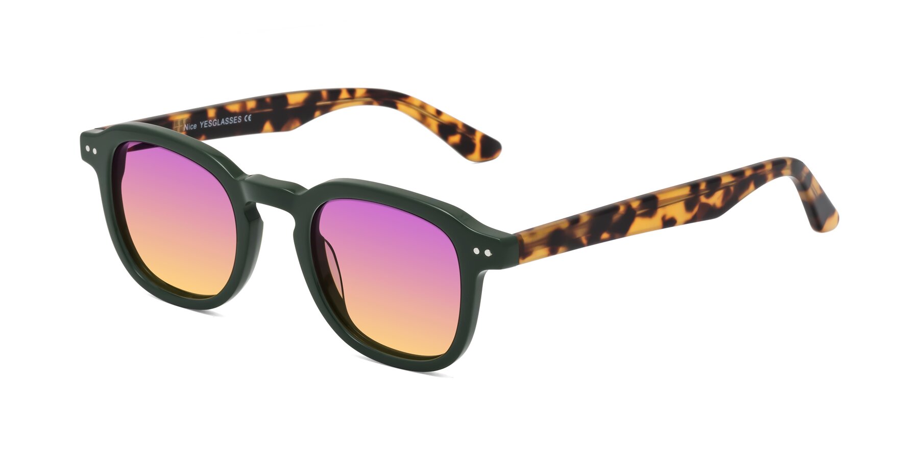 Angle of Nice in Seaweed-Tortoise with Purple / Yellow Gradient Lenses