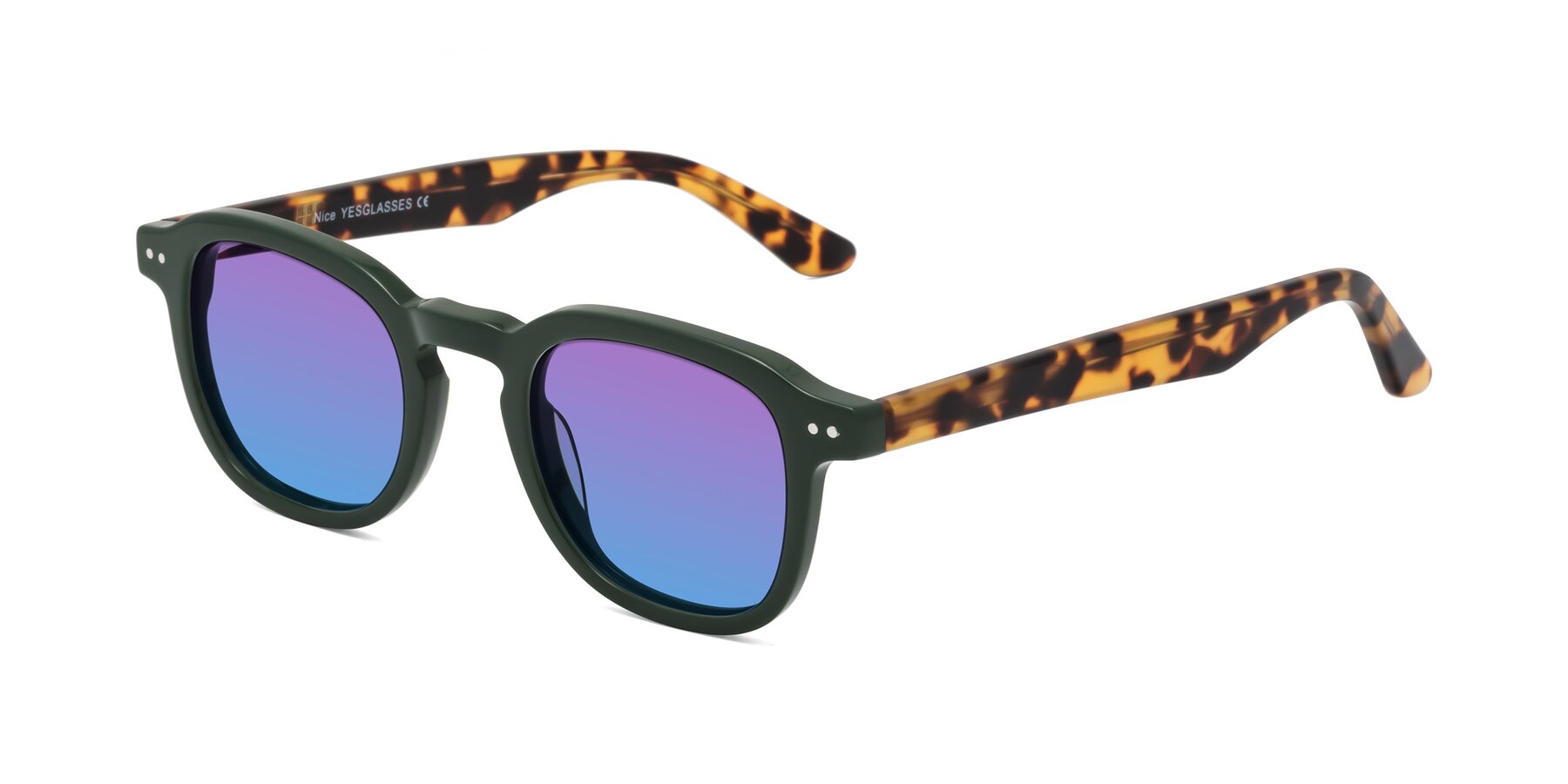 Angle of Nice in Seaweed-Tortoise with Purple / Blue Gradient Lenses