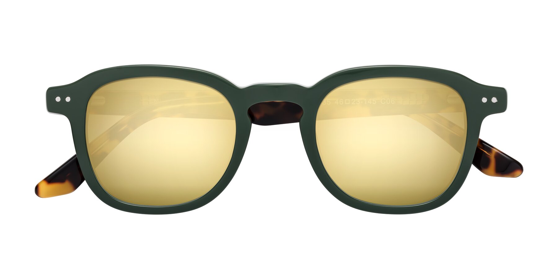 Folded Front of Nice in Seaweed-Tortoise with Gold Mirrored Lenses