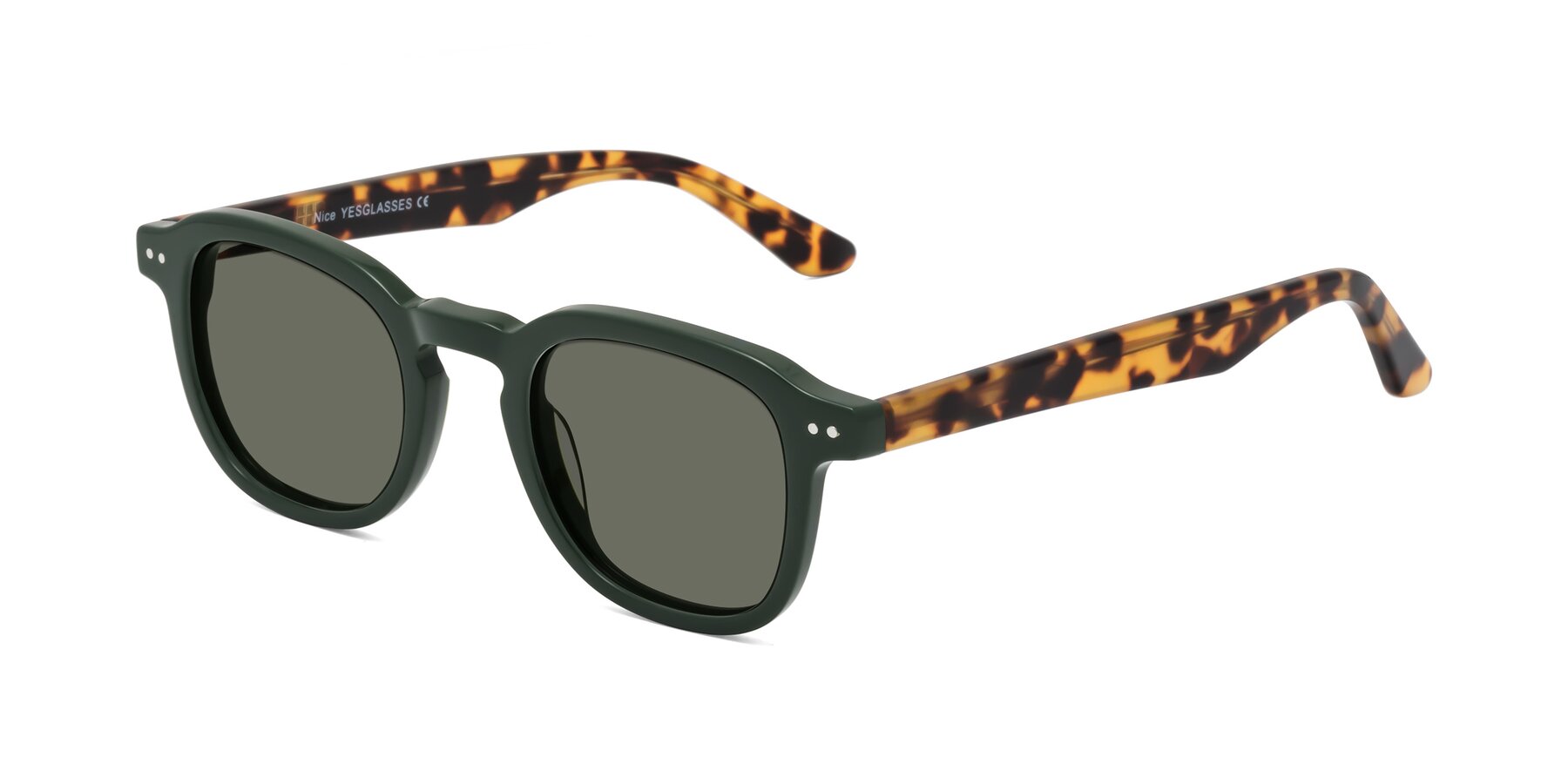 Angle of Nice in Seaweed-Tortoise with Gray Polarized Lenses