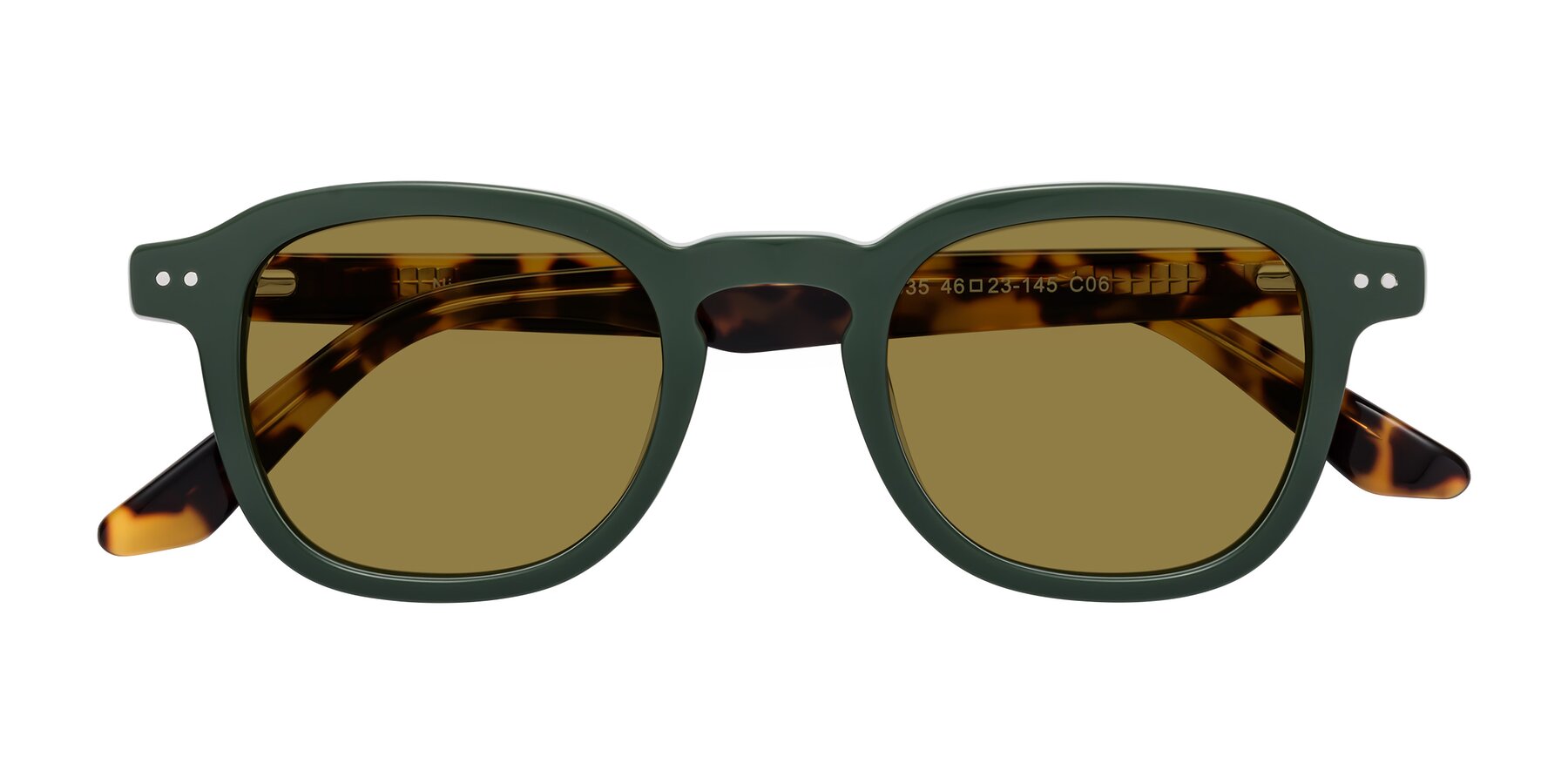 Folded Front of Nice in Seaweed-Tortoise with Brown Polarized Lenses