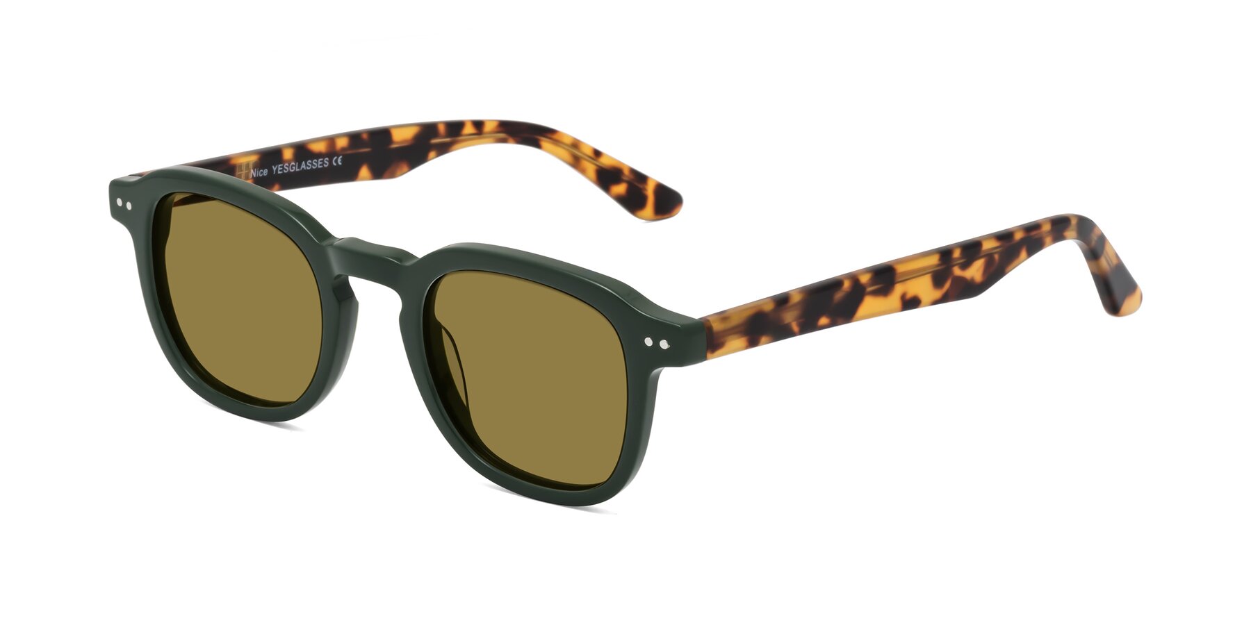 Angle of Nice in Seaweed-Tortoise with Brown Polarized Lenses