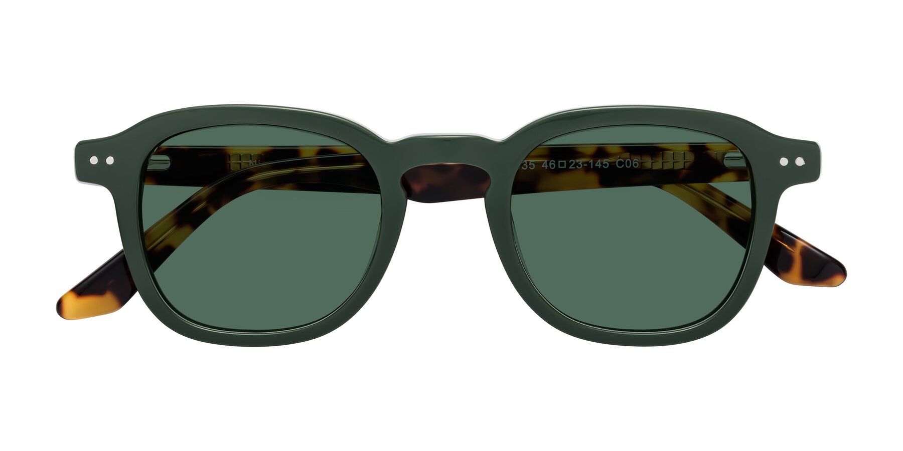 Folded Front of Nice in Seaweed-Tortoise with Green Polarized Lenses