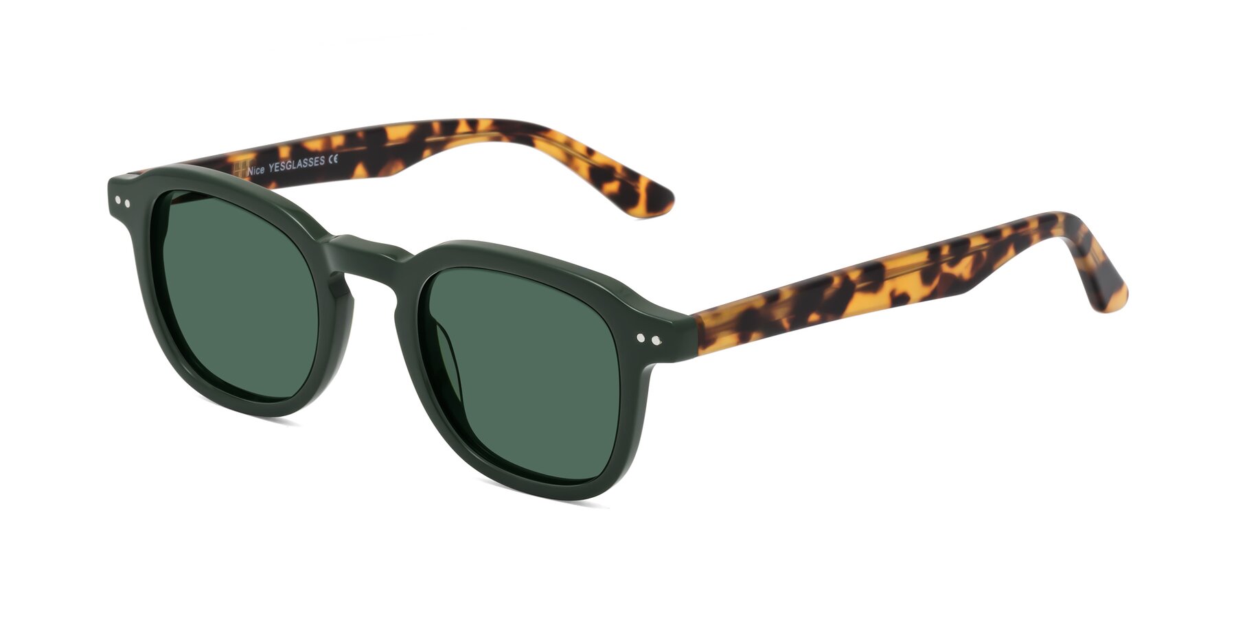 Angle of Nice in Seaweed-Tortoise with Green Polarized Lenses