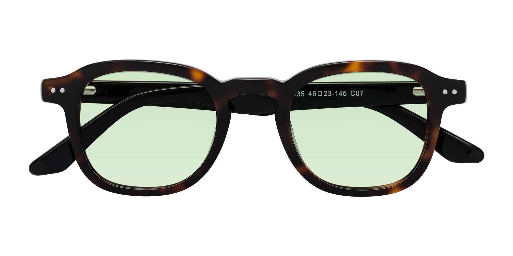 Folded Front of Nice in Tortoise-Black with Light Green Tinted Lenses