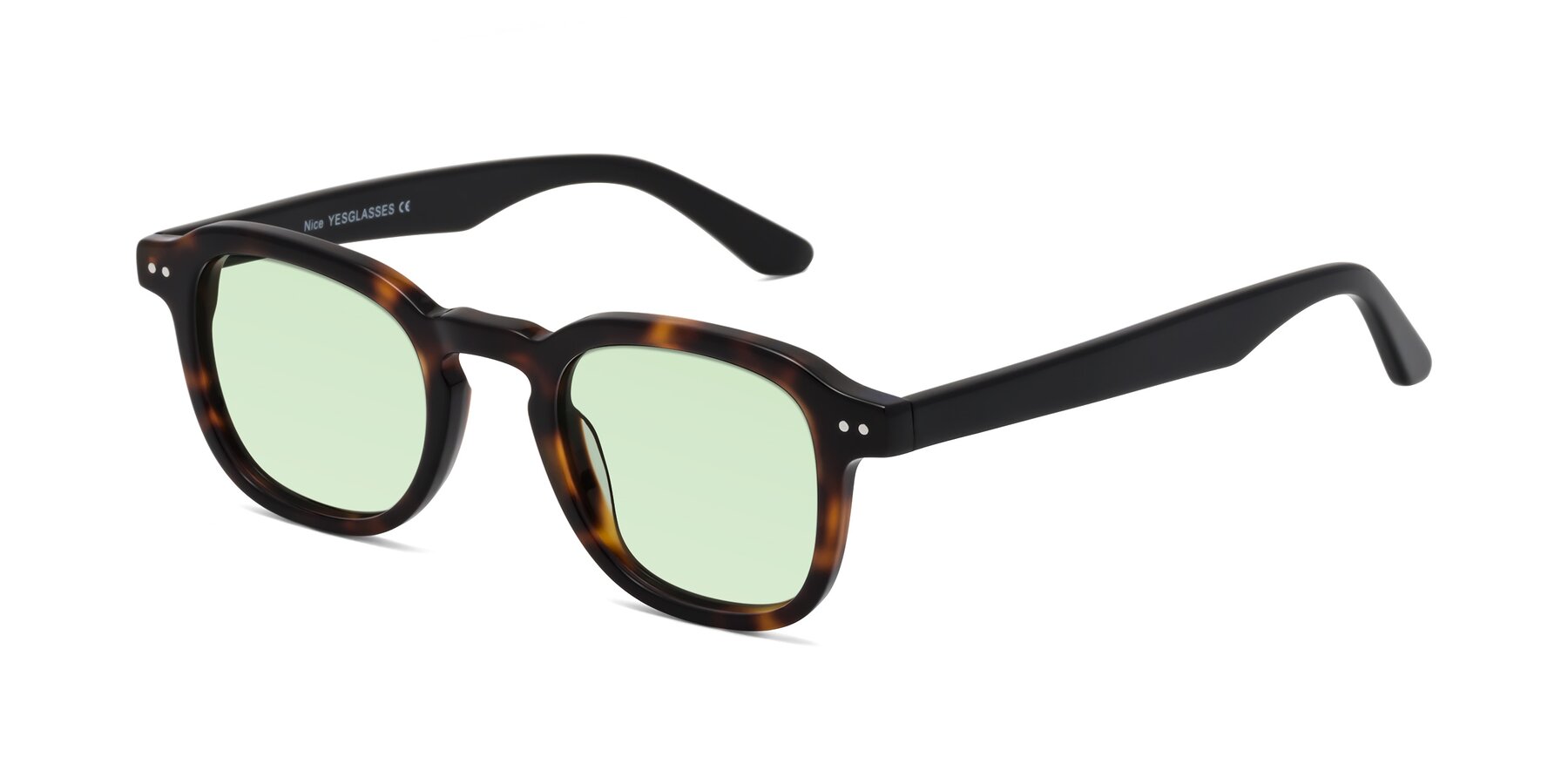 Angle of Nice in Tortoise-Black with Light Green Tinted Lenses