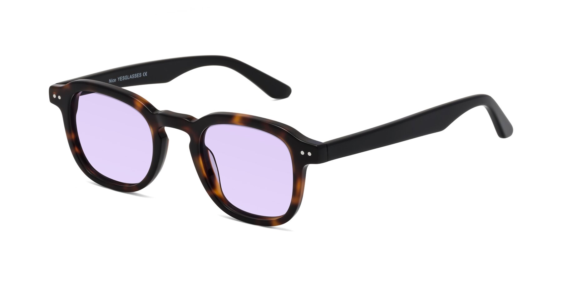 Angle of Nice in Tortoise-Black with Light Purple Tinted Lenses