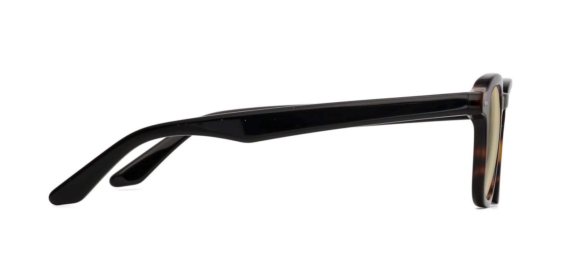 Side of Nice in Tortoise-Black with Light Champagne Tinted Lenses