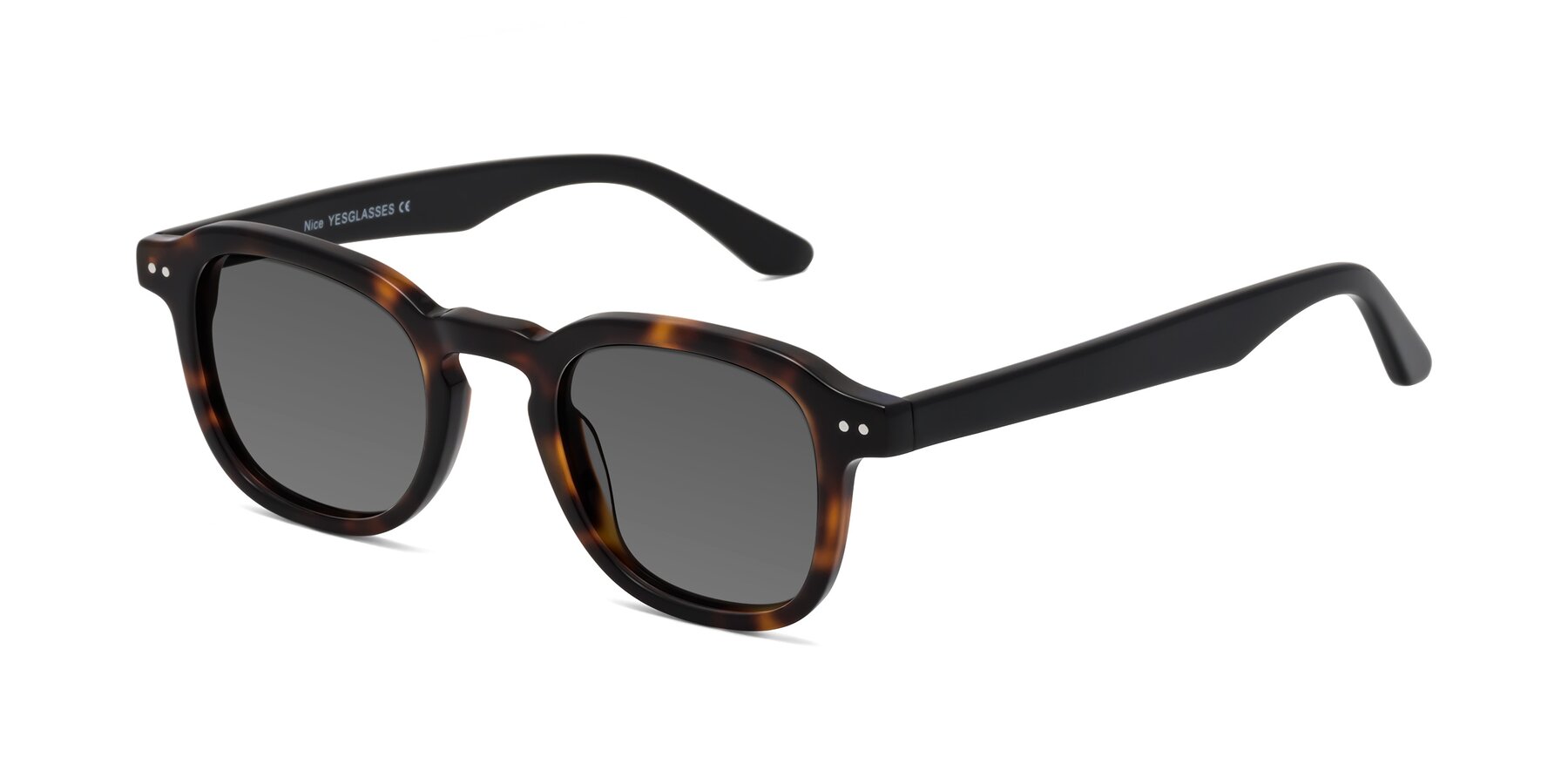 Angle of Nice in Tortoise-Black with Medium Gray Tinted Lenses