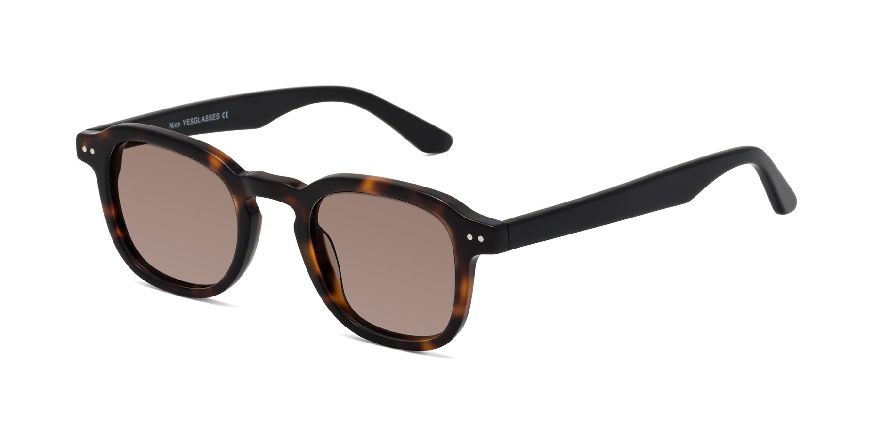 Angle of Nice in Tortoise-Black with Medium Brown Tinted Lenses