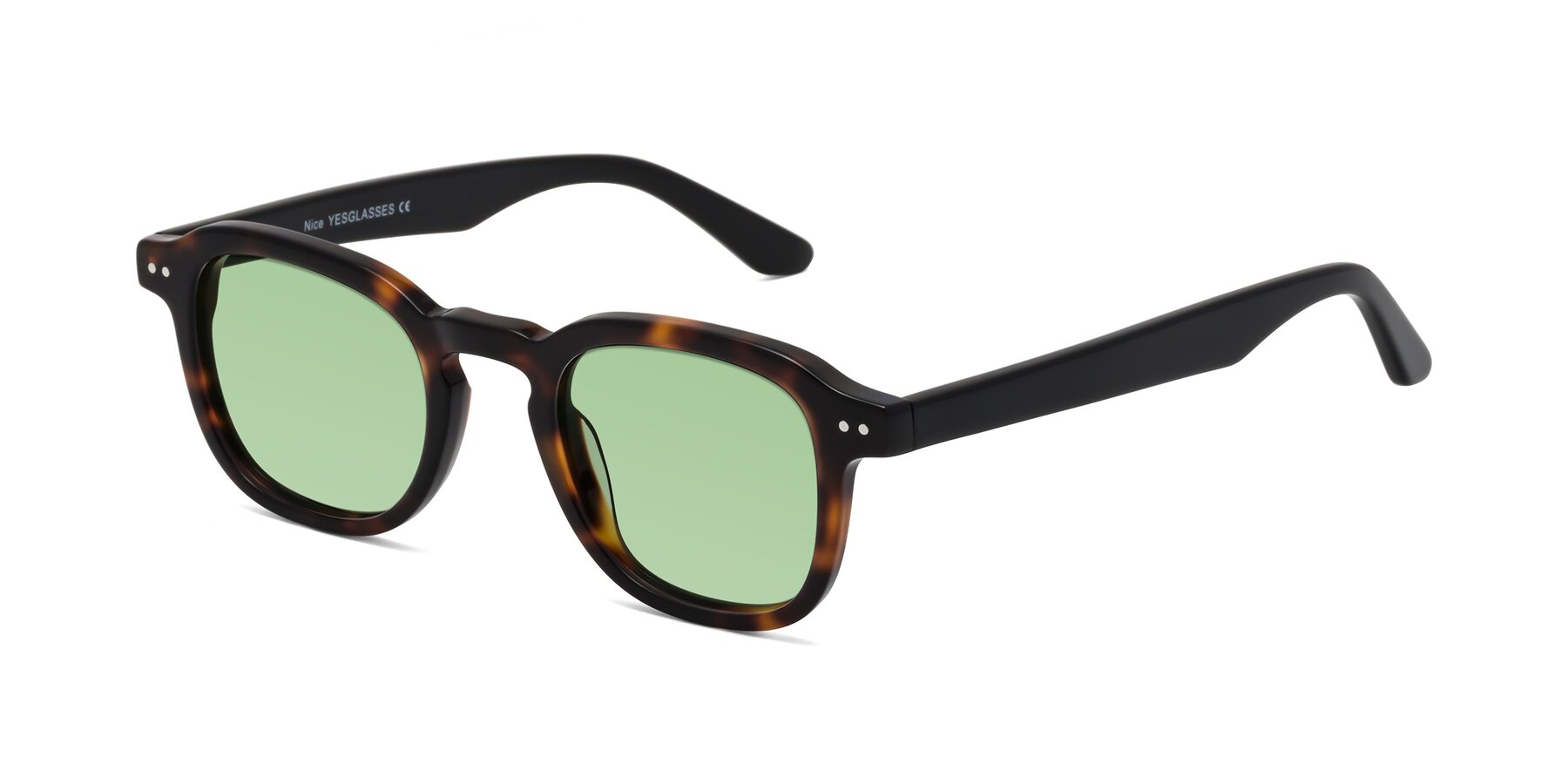 Angle of Nice in Tortoise-Black with Medium Green Tinted Lenses