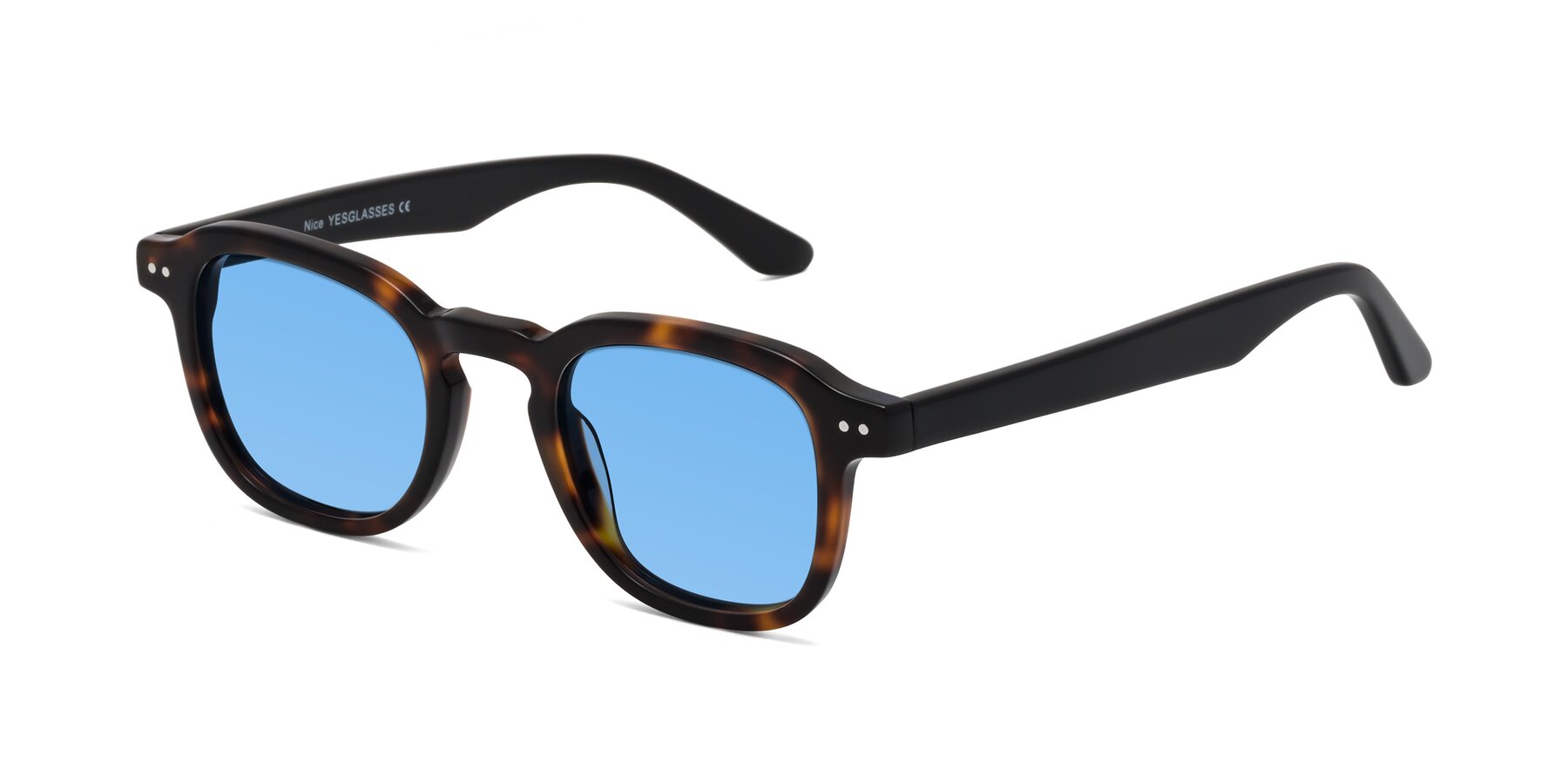 Angle of Nice in Tortoise-Black with Medium Blue Tinted Lenses