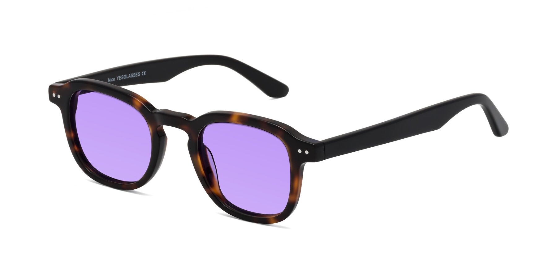 Angle of Nice in Tortoise-Black with Medium Purple Tinted Lenses