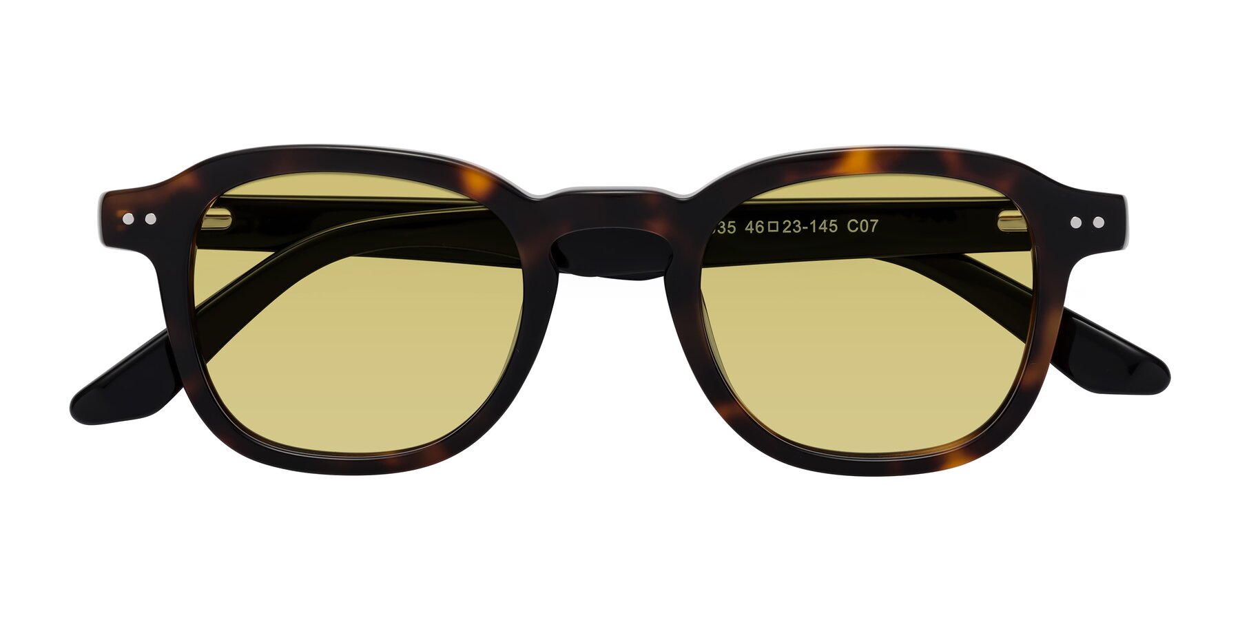 Folded Front of Nice in Tortoise-Black with Medium Champagne Tinted Lenses