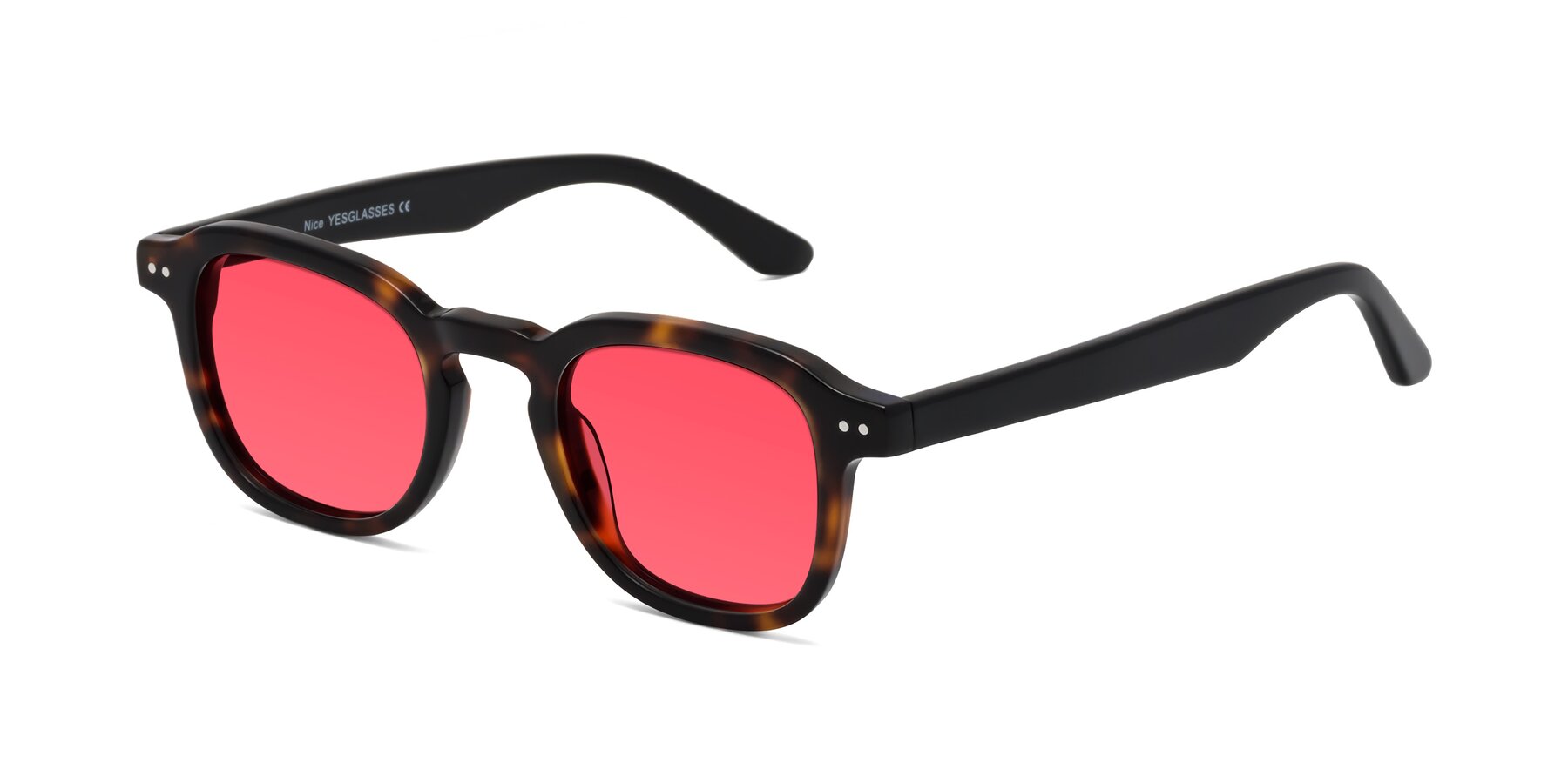 Angle of Nice in Tortoise-Black with Red Tinted Lenses