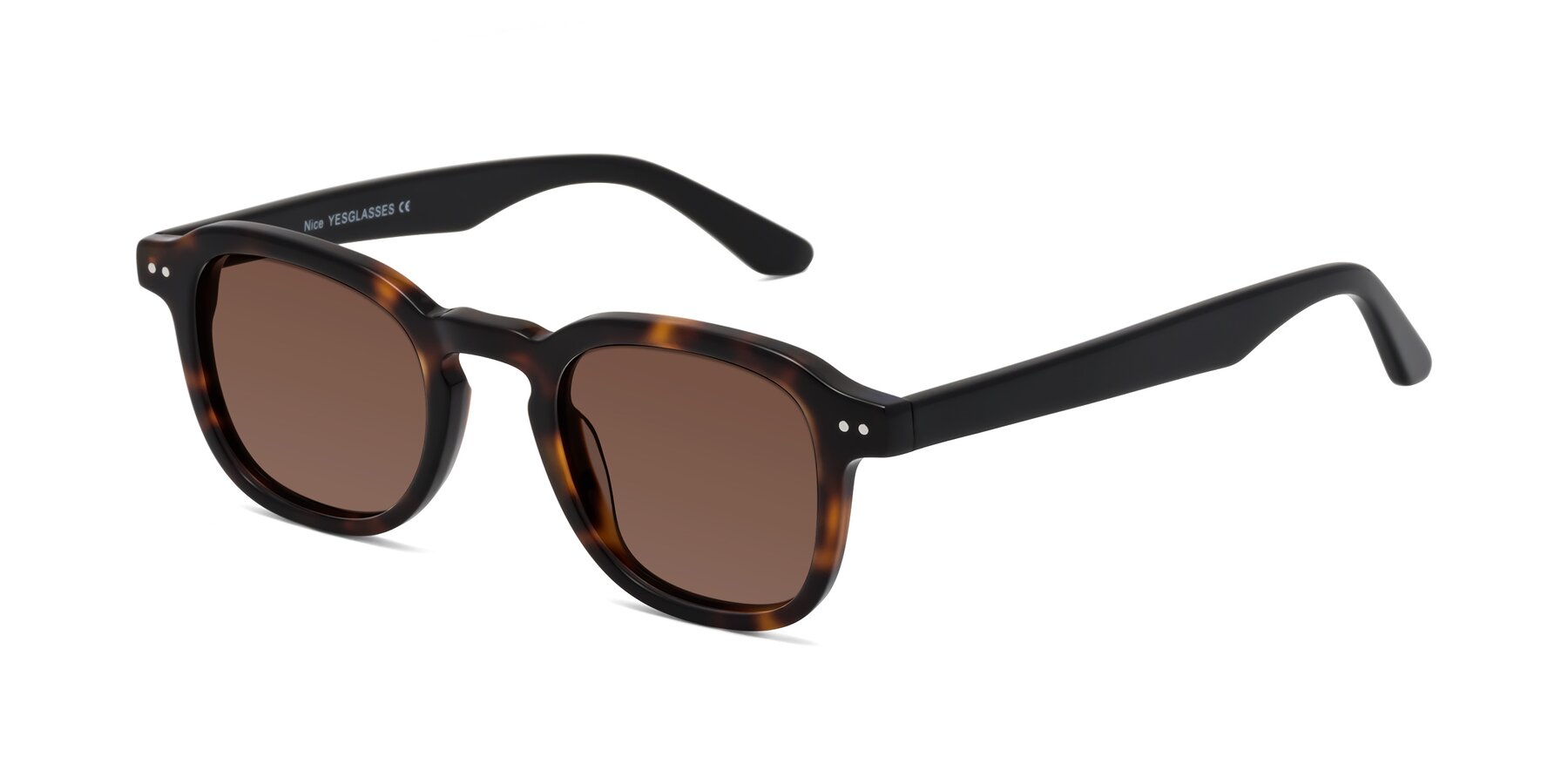 Angle of Nice in Tortoise-Black with Brown Tinted Lenses