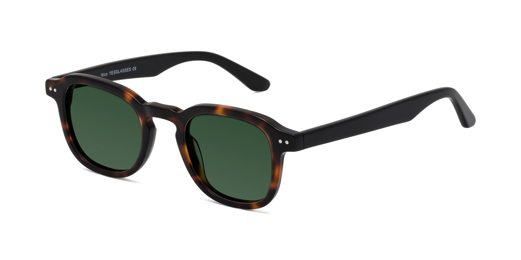 Angle of Nice in Tortoise-Black with Green Tinted Lenses