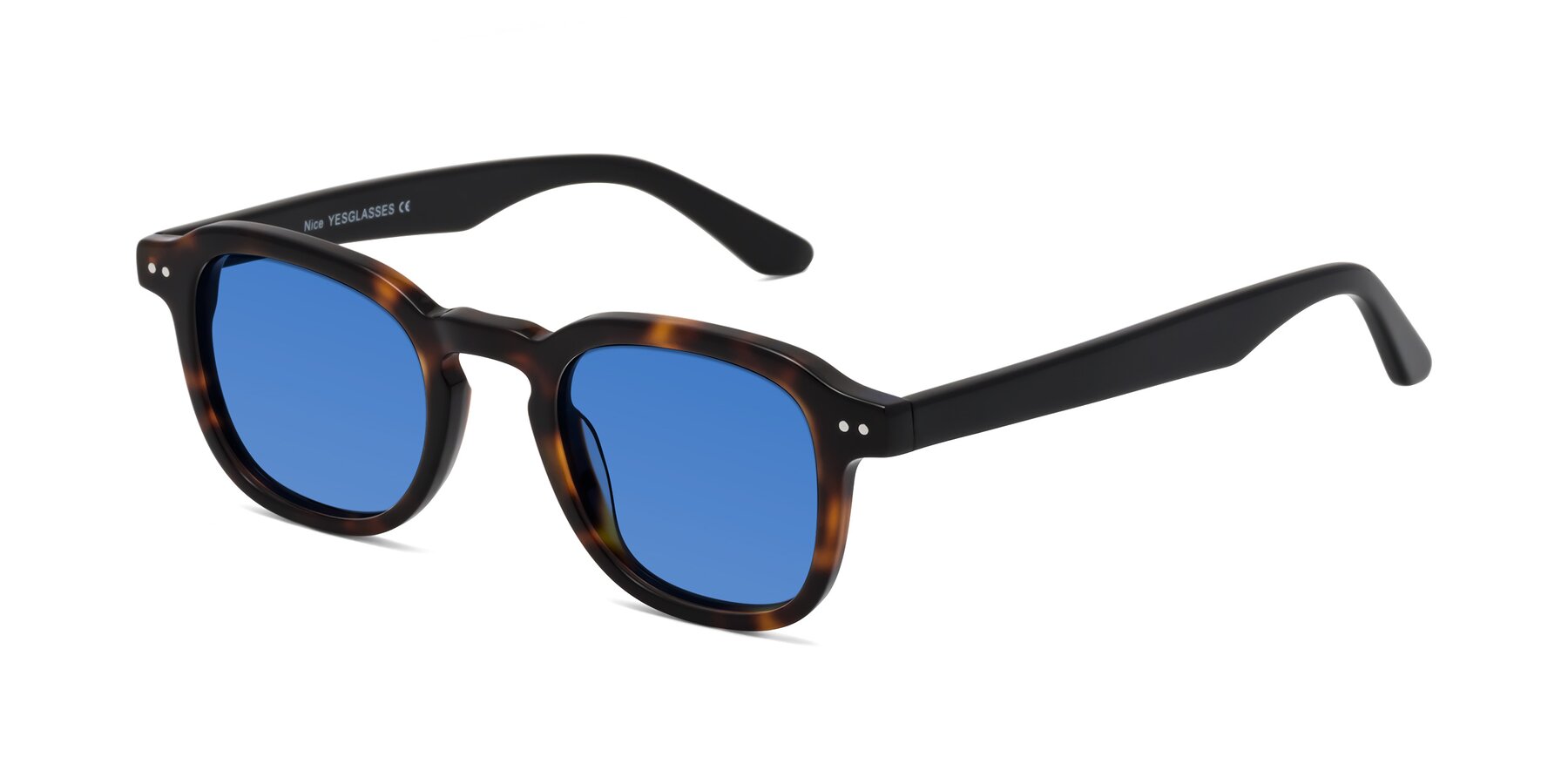 Angle of Nice in Tortoise-Black with Blue Tinted Lenses