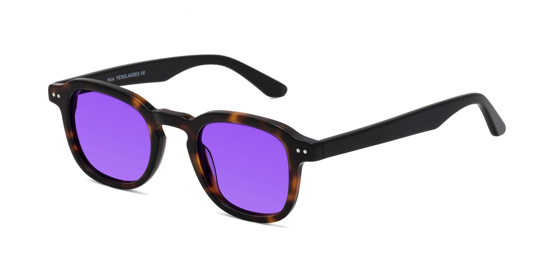 Angle of Nice in Tortoise-Black with Purple Tinted Lenses